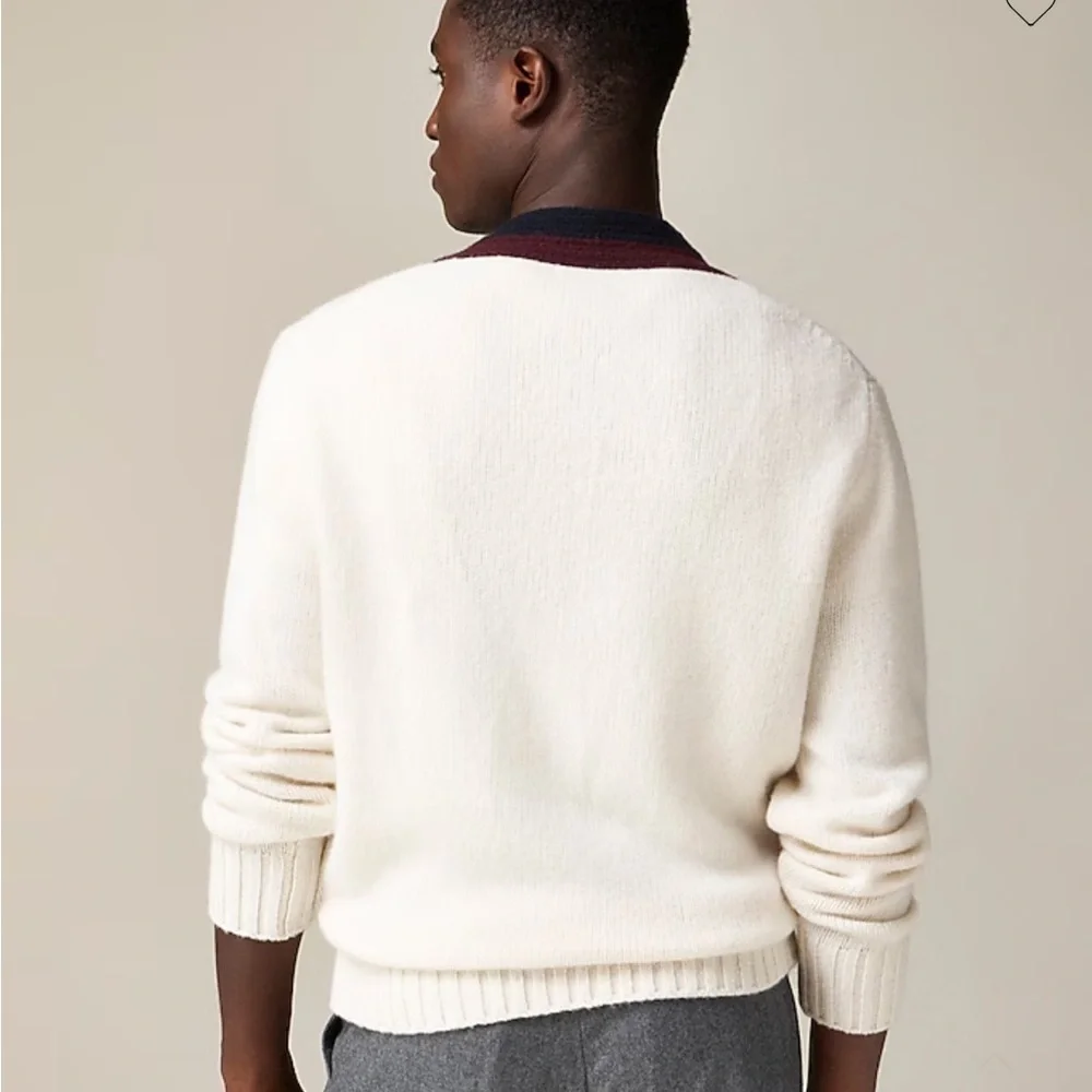 NWOT j crew Wool V-neck cricket sweater